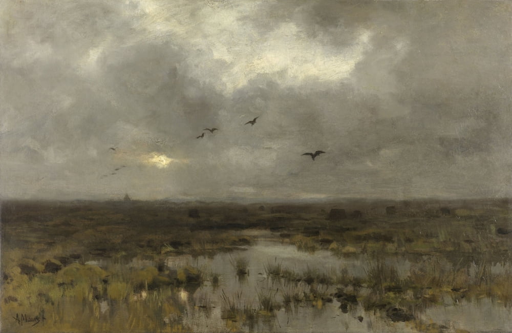 The Marsh Canvas Art - (24 x 18)