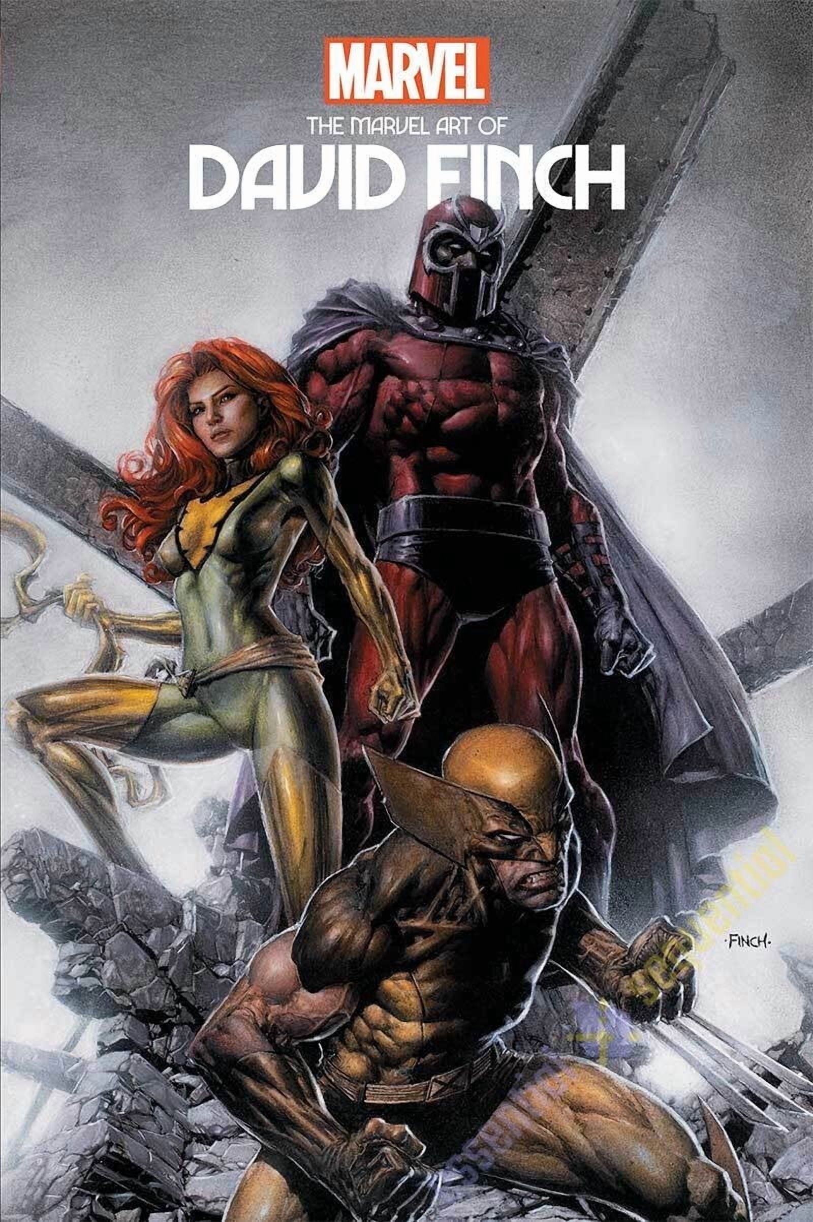 The Marvel Art of David Finch v1 Hard Cover set by David Finch