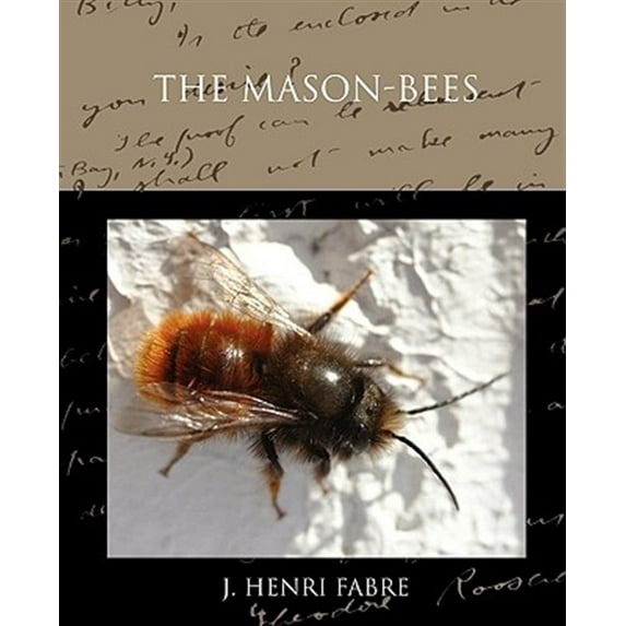 The Mason-bees (Paperback)