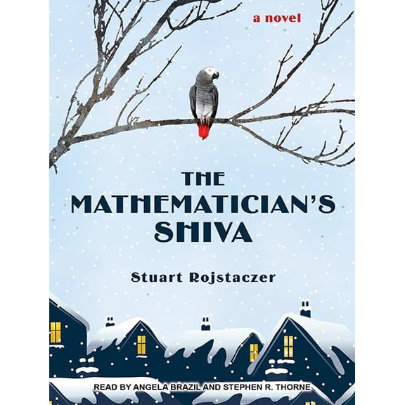 The Mathematician's Shiva (Audiobook)
