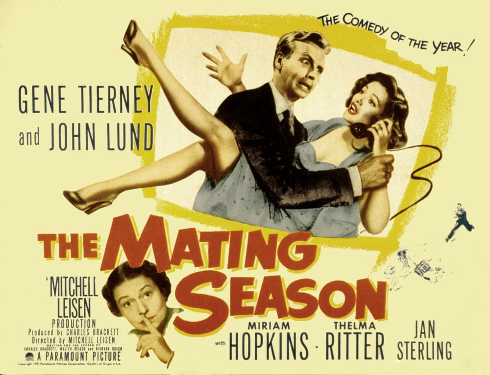 The Mating Season Canvas Art - (28 x 22)