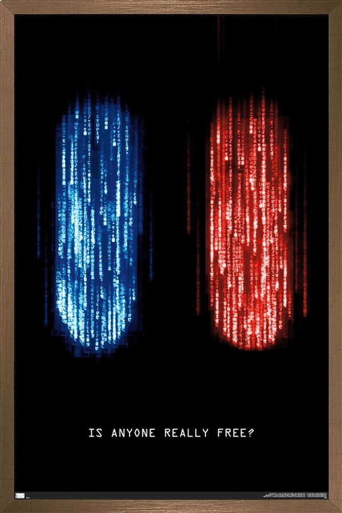 The Matrix: Resurrections - Is Anyone Really Free Wall Poster, 14.725" x 22.375", Framed