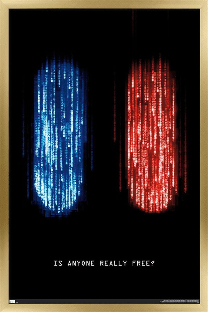 The Matrix: Resurrections - Is Anyone Really Free Wall Poster, 22.375" x 34", Framed