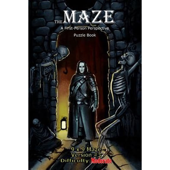 The Maze: A First-Person Perspective Puzzle Book: The Maze (Paperback)