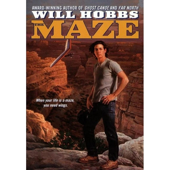 The Maze, (Paperback)
