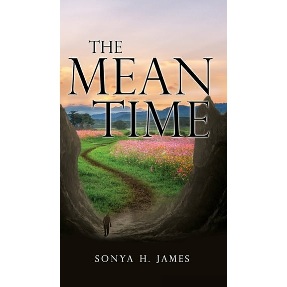 The Mean Time, (Hardcover)