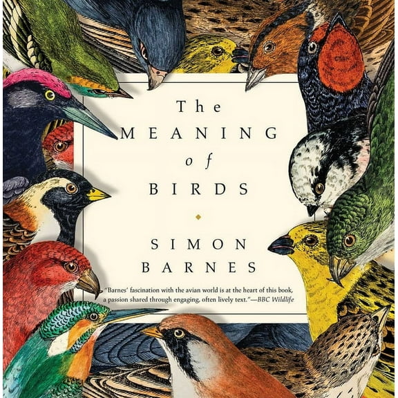 The Meaning of Birds (Hardcover)
