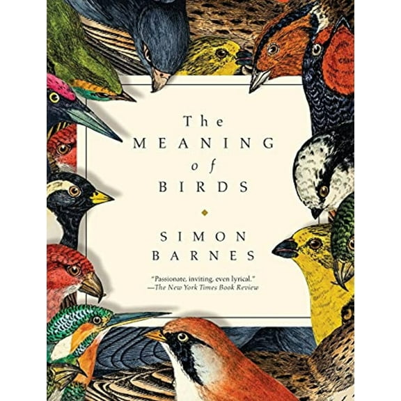 The Meaning of Birds (Paperback)