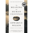 thumbnail image 1 of The Meaning of Human Existence, (Paperback), 1 of 1