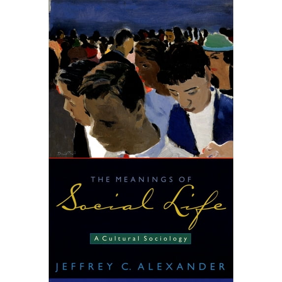 The Meanings of Social Life: A Cultural Sociology, (Paperback)