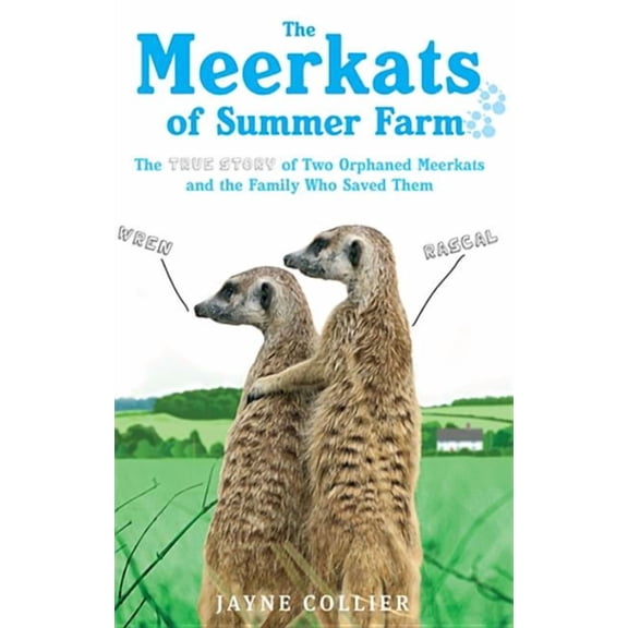 The Meerkats of Summer Farm (Paperback)