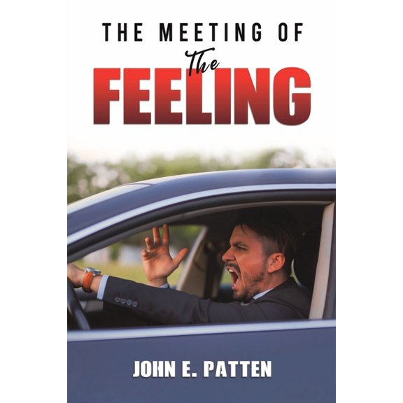 The Meeting of the Feeling, (Paperback)