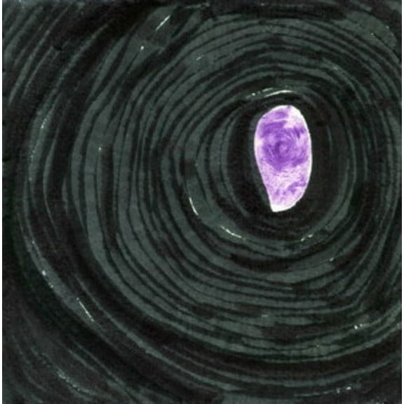 The Memories - Tell Me / Don't Be a Drag - Music & Performance - Vinyl [7-Inch]