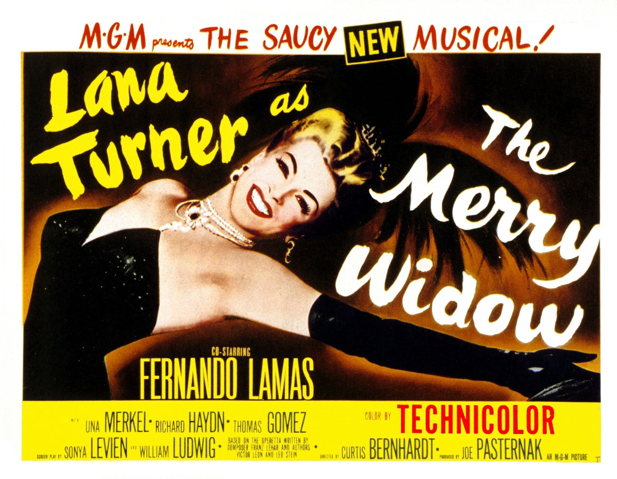 The Merry Widow Canvas Art - (28 x 22)