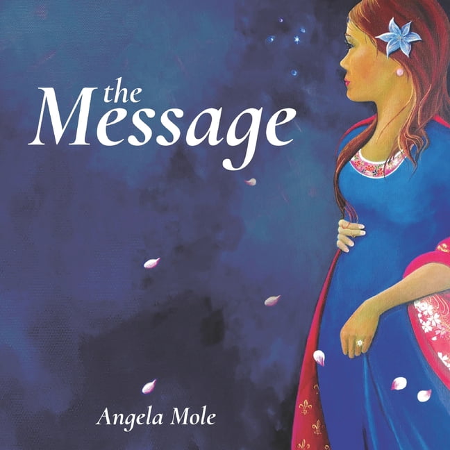 The Message : A Christmas Story (Paperback)