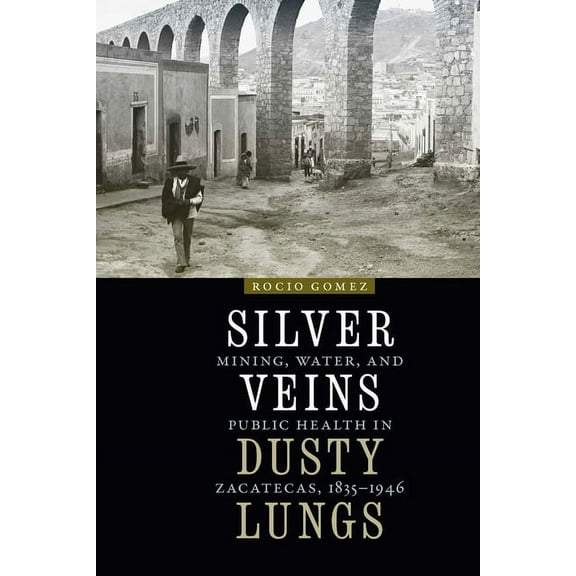 Mexican Experience Silver Veins, Dusty Lungs: Mining, Water, and Public Health in Zacatecas, 1835-1946, (Hardcover)