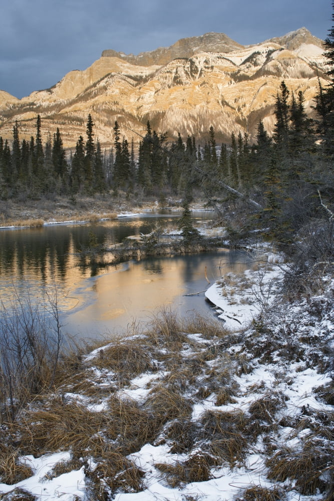 The Miette Range Jasper National Park Alberta Canvas Art - Darwin Wiggett Design Pics (22 x 34)
