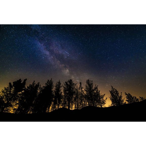The Milky Way and Perseids meteor over Rose Valley, Los Padres National Forest, California, USA. Poster Print by Russ Bishop (24 x 36)