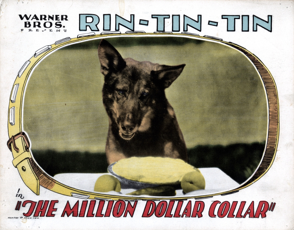 The Million Dollar Collar Canvas Art - (28 x 22)