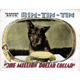 thumbnail image 1 of The Million Dollar Collar Rin Tin Tin 1929 Movie Poster Masterprint (14 x 11), 1 of 1