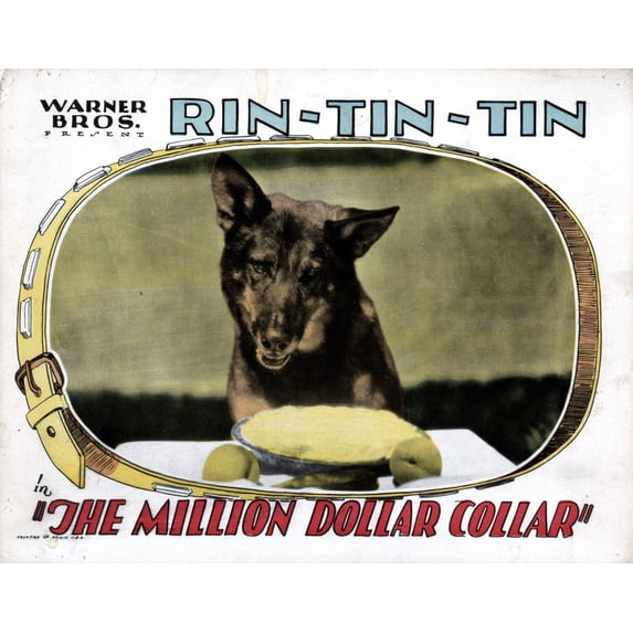 The Million Dollar Collar Rin Tin Tin 1929 Movie Poster Masterprint (14 x 11)