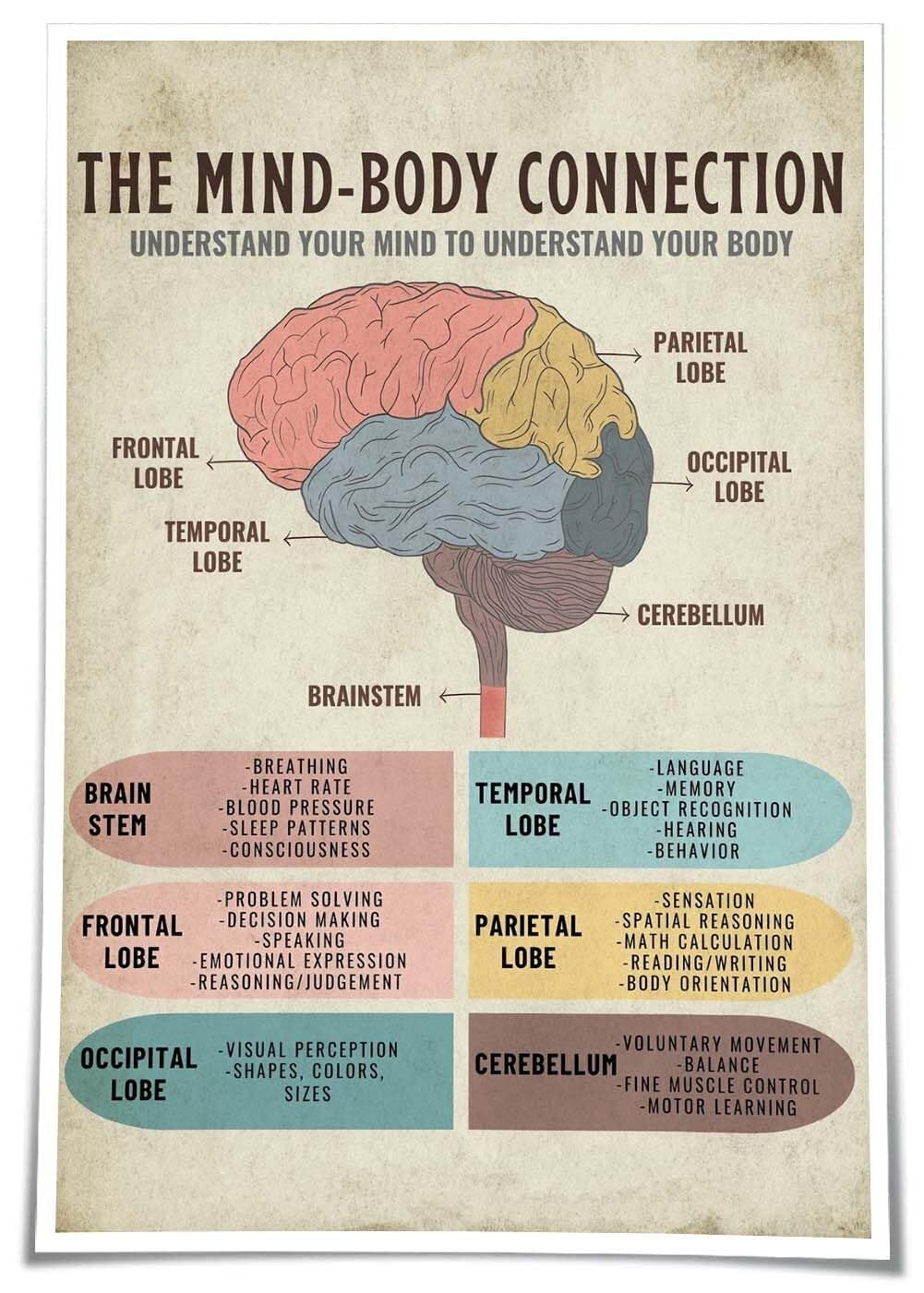 The Mind Body Connection Chart Poster Mental Health Wall Art Brain ...