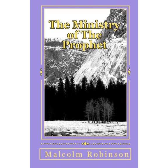 The Ministry of The Prophet: The Protector of the Local Church Paperback 145154572X 9781451545722 Malcolm Robinson