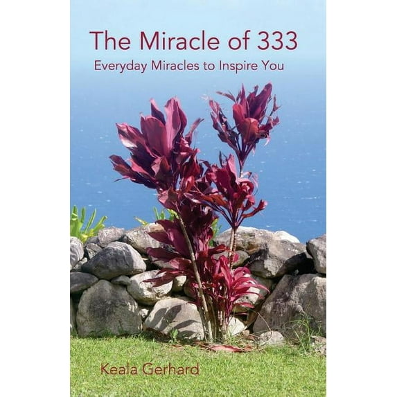 The Miracle of 333 (Paperback)