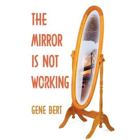 The Mirror Is Not Working