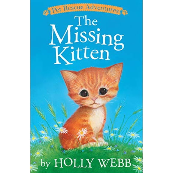 Pre-Owned The Missing Kitten (Paperback) 1589254880 9781589254886