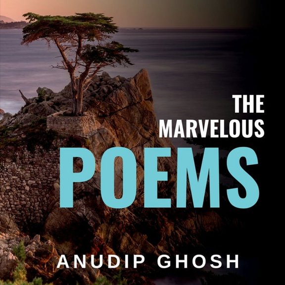 The Missing Man (Paperback)