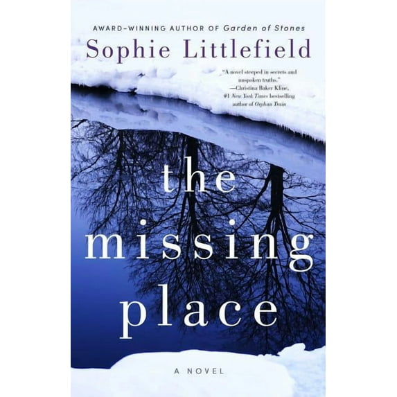 The Missing Place (Paperback)