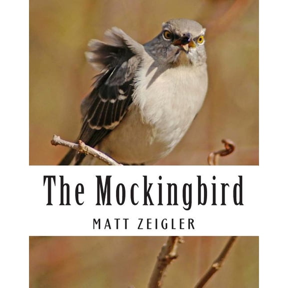 The Mockingbird (Paperback)