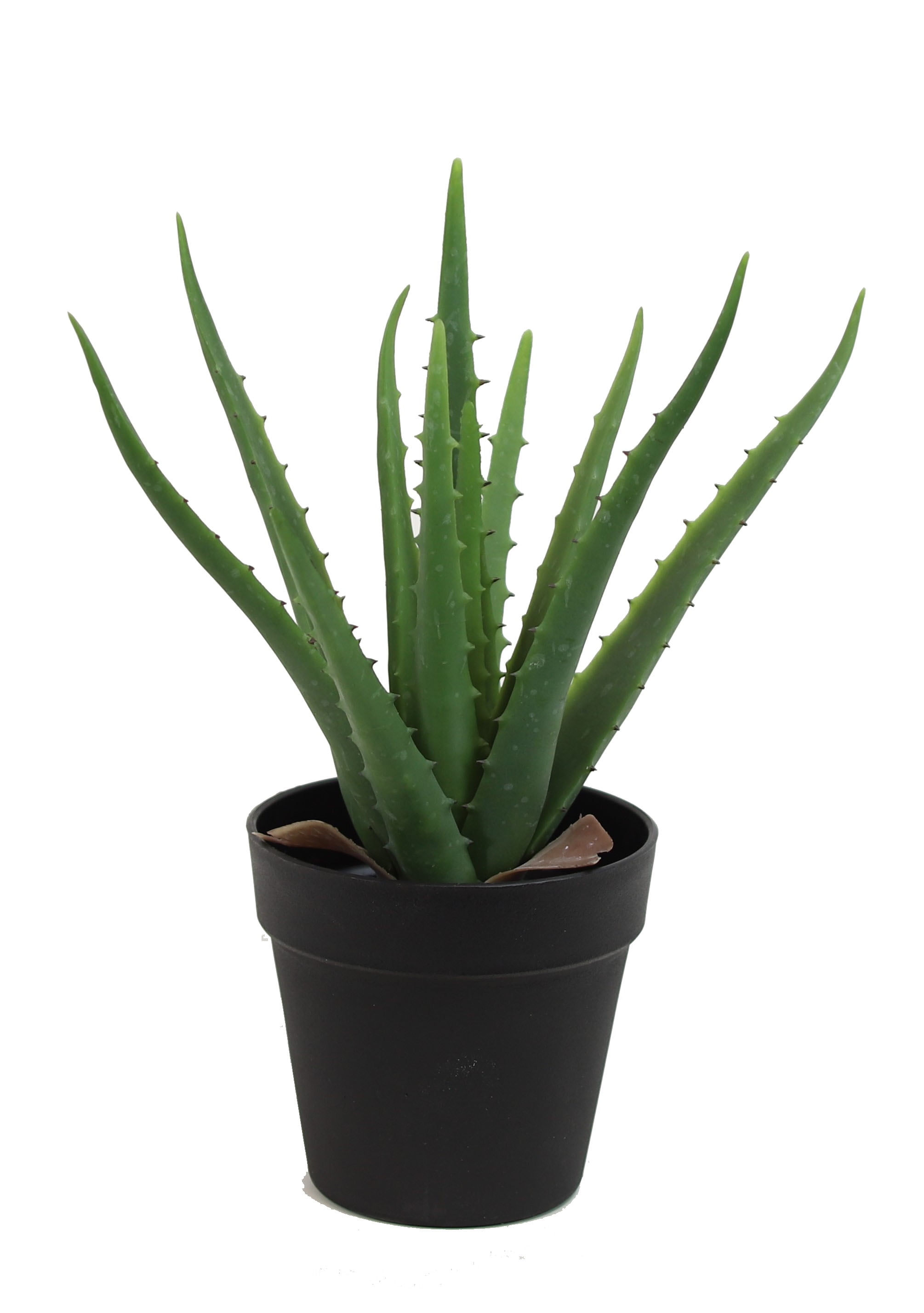 The Mod Greenhouse 14" Artificial Green Aloe Vera Plant in a Matte Black Grower's Pot