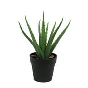 The Mod Greenhouse 14 Artificial Green Aloe Vera Plant in a Matte Black Growers Pot