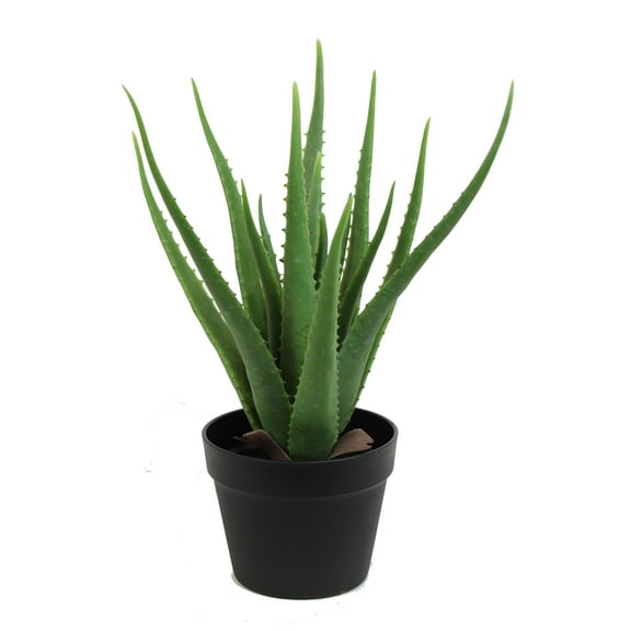The Mod Greenhouse 19" Artificial Green Aloe Vera Plant in a Matte Black Grower's Pot