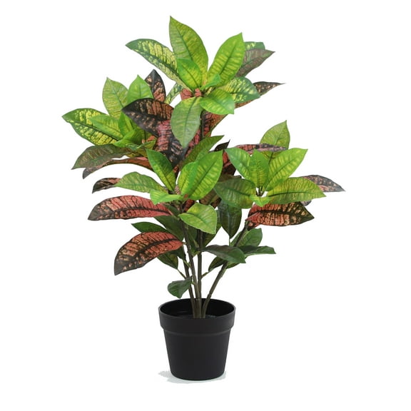 The Mod Greenhouse 24" Artificial Green Croton Plant in a Matte Black Grower's Pot