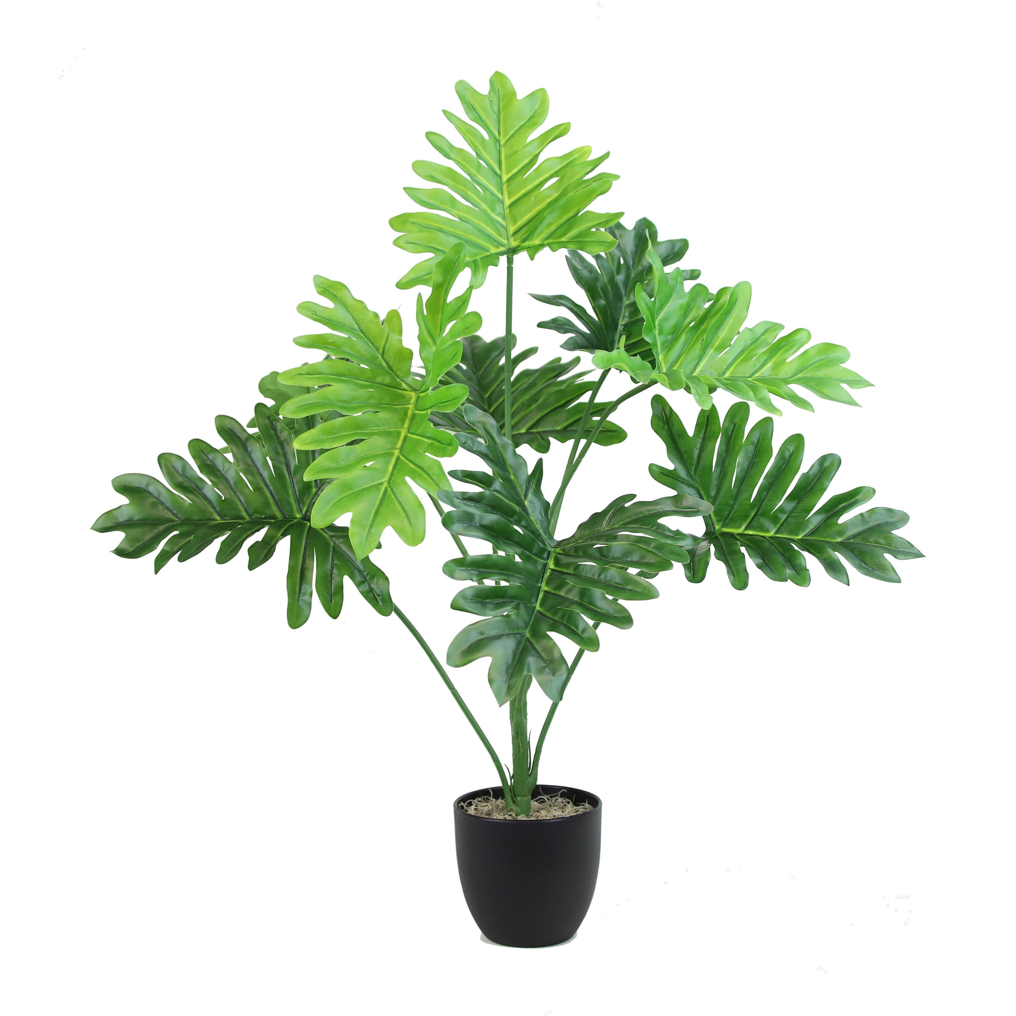 The Mod Greenhouse 32" Artificial Green Silk Happy Philo Tabletop Plant in Black Matte Pot