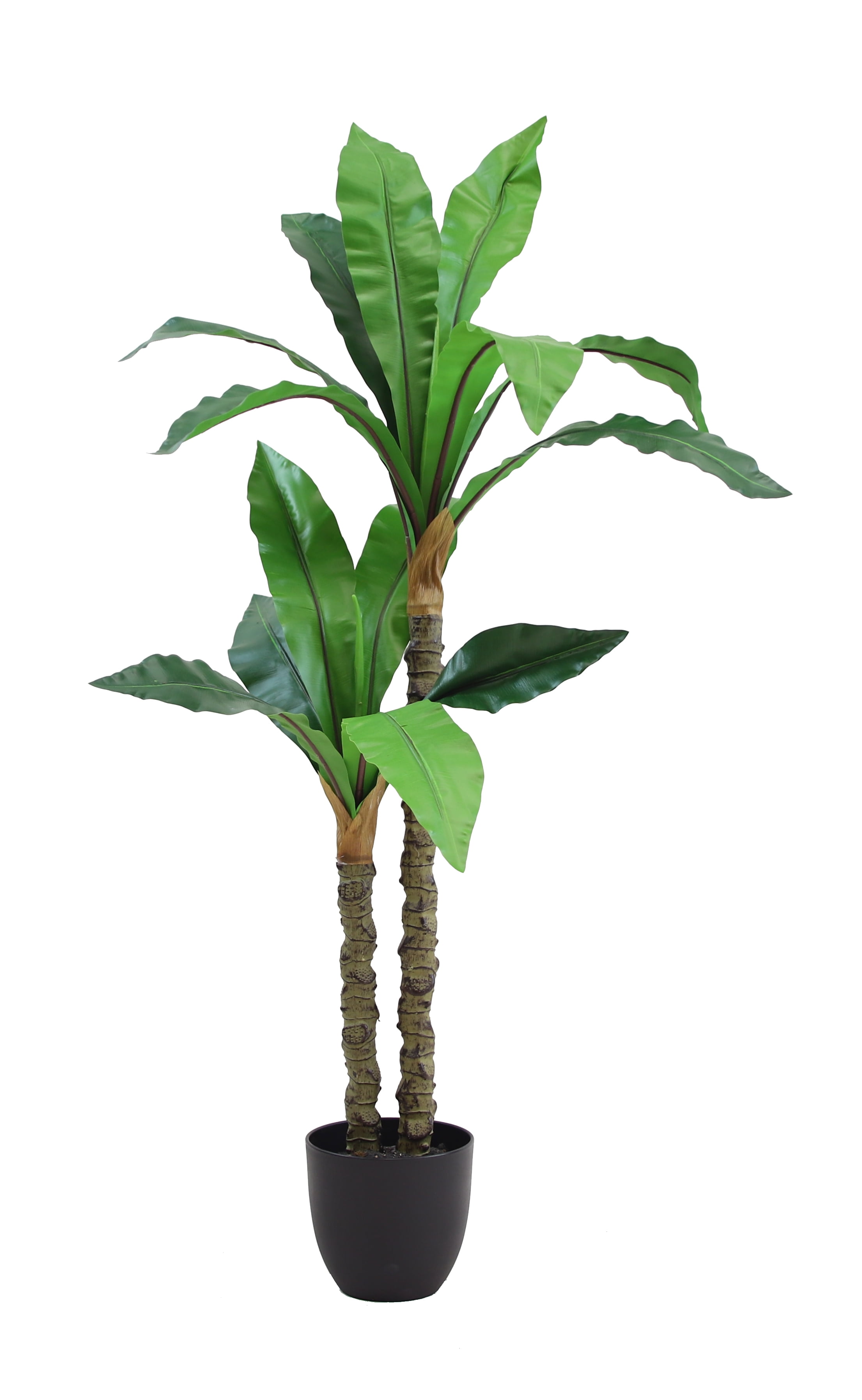 The Mod Greenhouse 49" Artificial Green Dracaena Tree in a 6.5" Black Matte Contemporary Pot (15 Leaf)