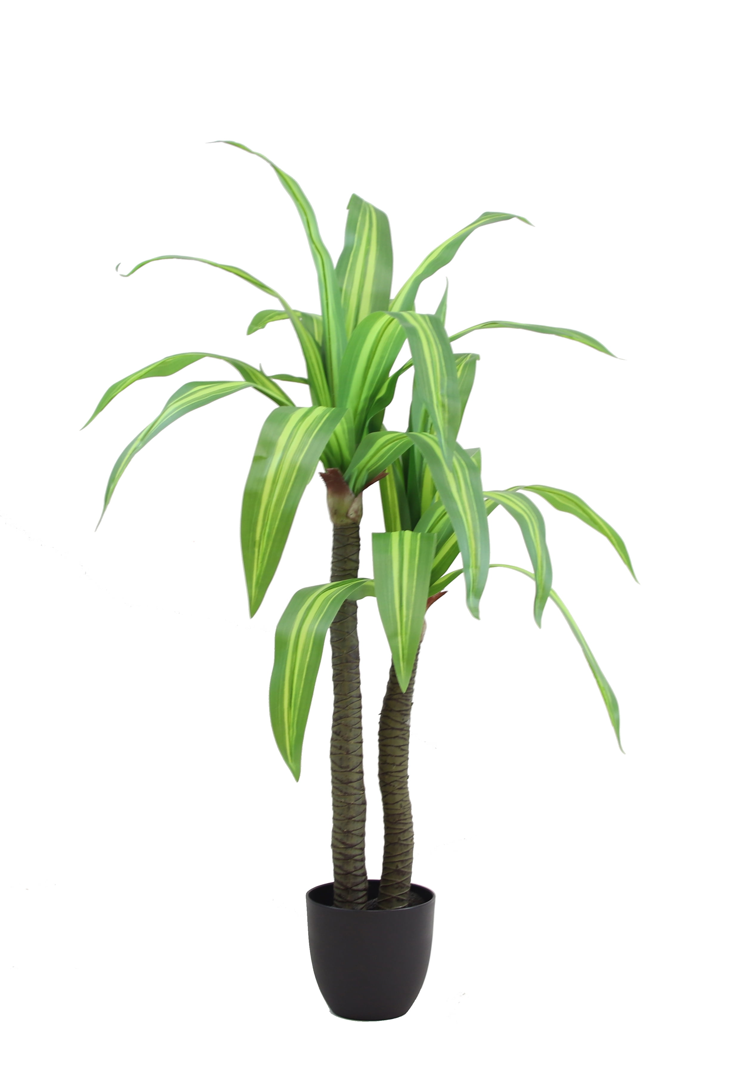 The Mod Greenhouse 49" Artificial Variegated Dracaena Tree in a 6.5" Black Matte Contemporary Pot (26 Leaf)
