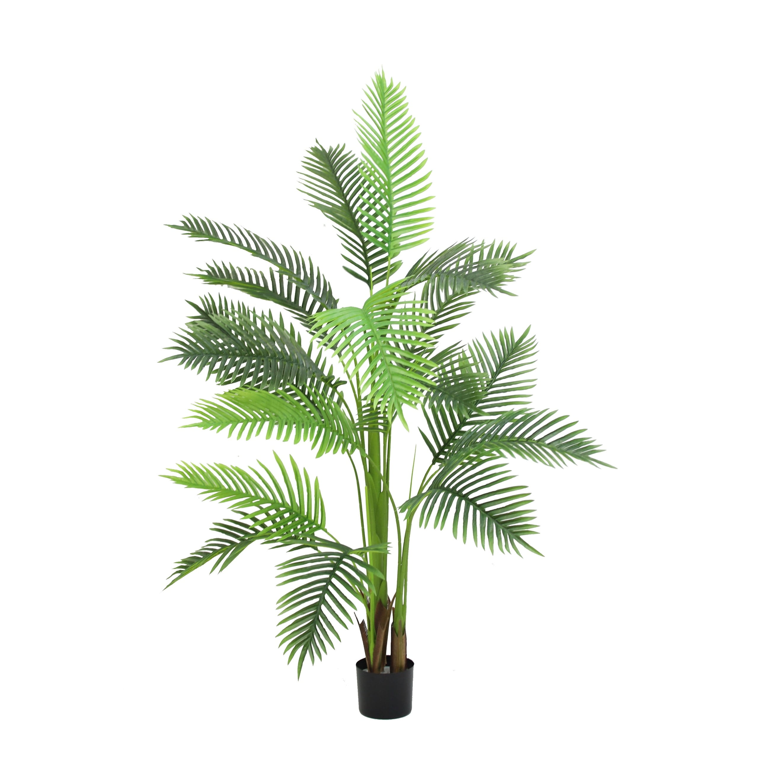 60" Green Silk Artificial Paradise Palm Tree in Black Planter