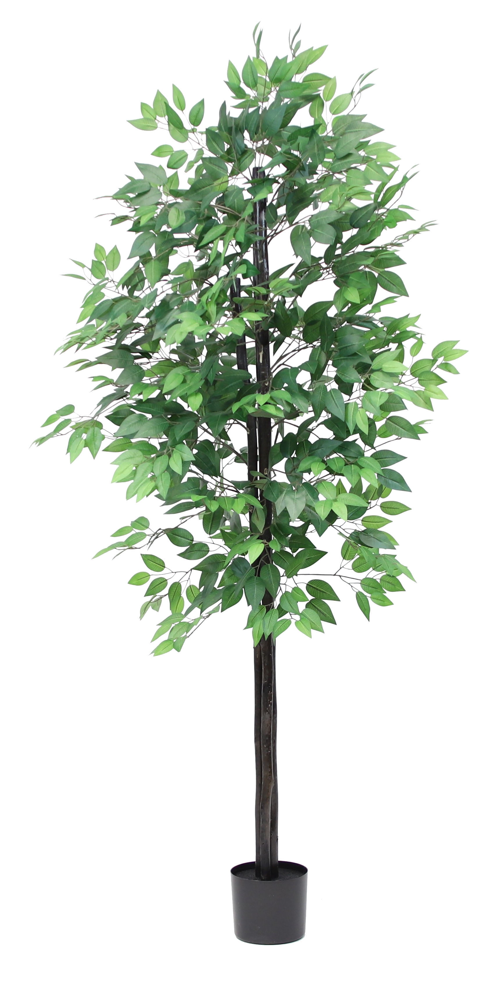 The Mod Greenhouse 76" Artificial Green Silk Ficus Tree in a Black Planter's Pot