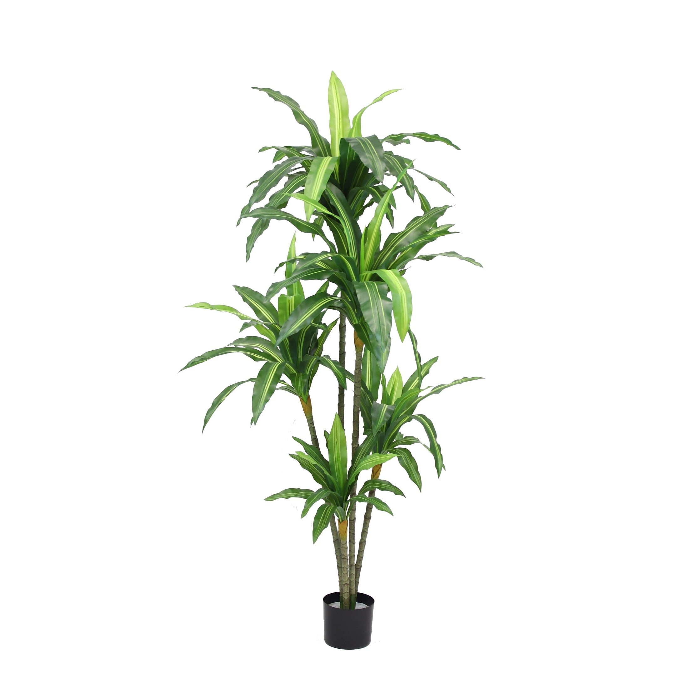 The Mod Greenhouse Artificial Dracaena Plant in Black Matte Planter's Pot Variegated - 67