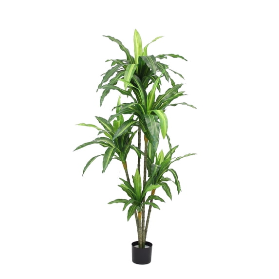 The Mod Greenhouse Artificial Dracaena Plant in Black Matte Planter's Pot Variegated - 67