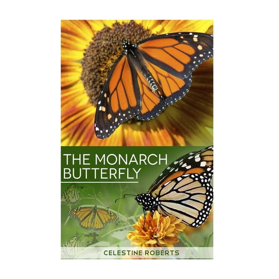 The Monarch Butterfly (Paperback)