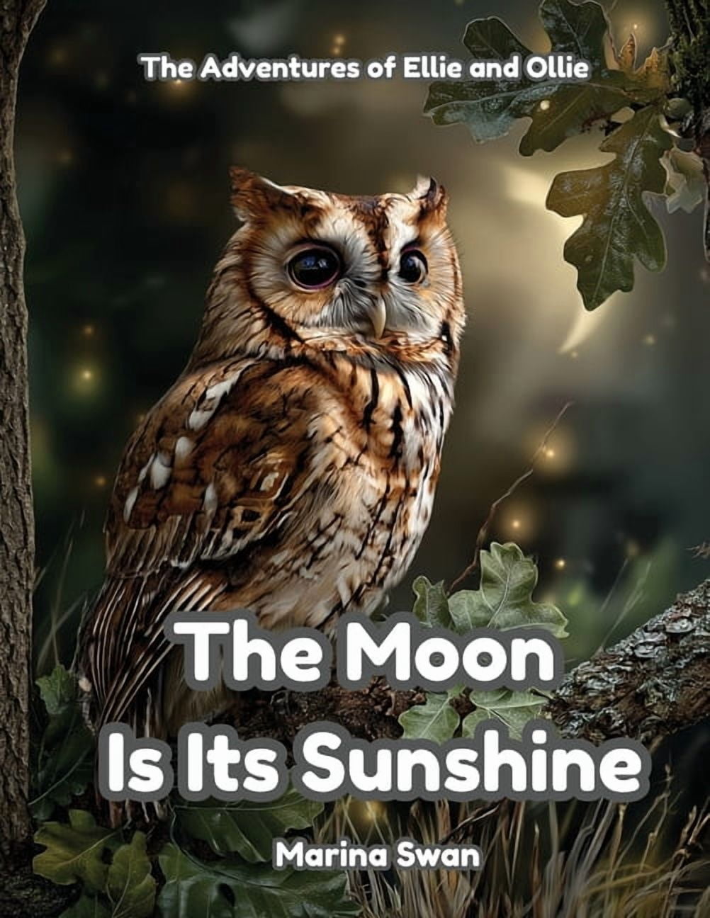 The Moon Is Its Sunshine, (Paperback)