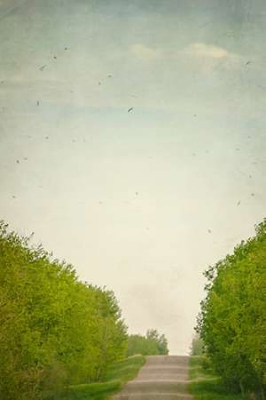 The Mosquito Catchers Canvas Art - Roberta Murray (24 x 36)