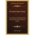 thumbnail image 1 of The Most Holy Trinity : The Doctrine Illustrated And Proved From The Scriptures (1853) (Paperback), 1 of 1