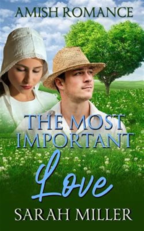 The Most Important Love (Paperback)