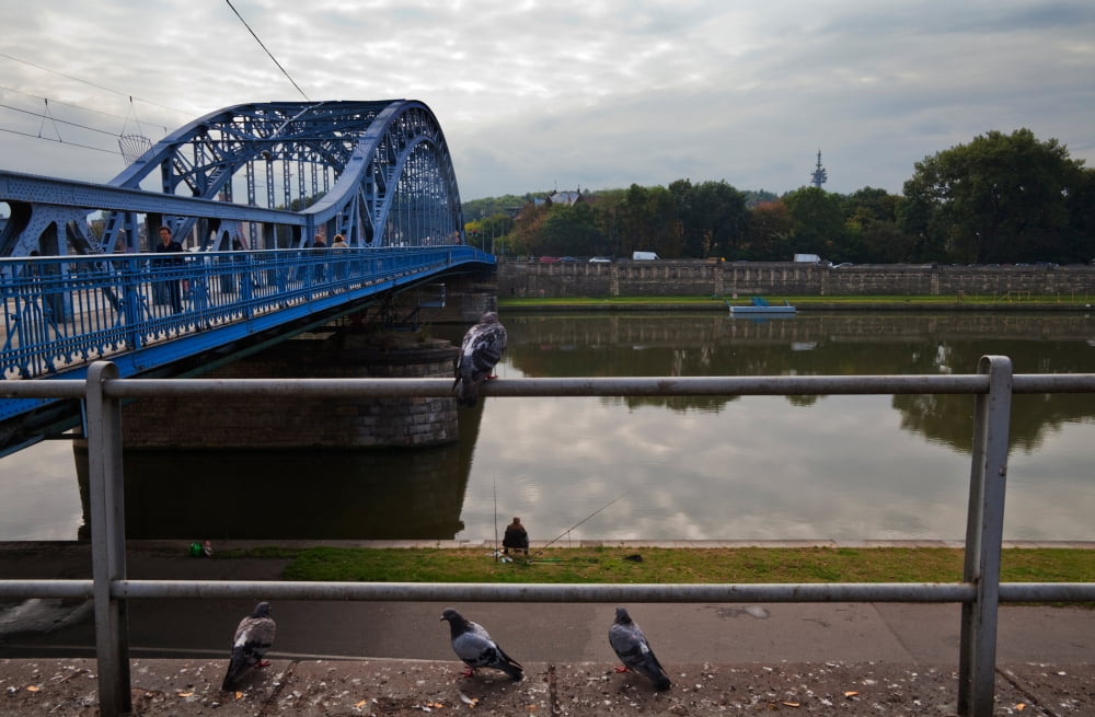 The Most Pilsudskiego Bridge over the River Wisla The old Jewish Quarter at Kazimierz Krakow Poland Canvas Art - Panoramic Images (36 x 24)